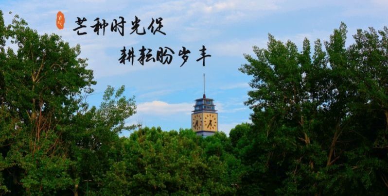 芒种节气